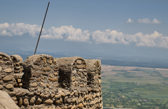 Excursion to Sighnaghi, David Gareja and Guaani
