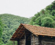 6 день. Экскурсионная поездка в Горную Аджарию