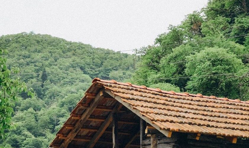 Исследование Древней Колхиды (5 дней/4 ночи)