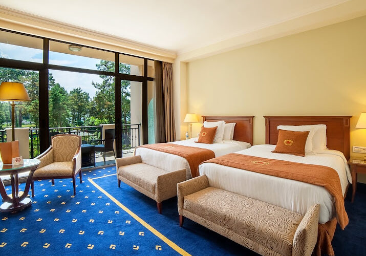 Georgia Palace Hotel