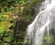 4 день. Горная Аджария