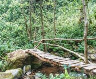 6 день. Экскурсионная поездка в Горную Аджарию